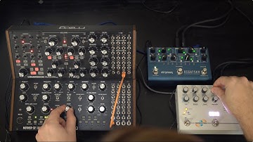 Ambient jam with the Moog Subharmonicon, Mother 32, Strymon NightSky, and Hologram Microcosm