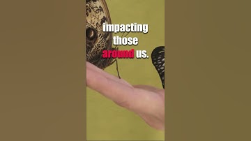 Journey Within: Exploring the Depths of Self #NewEarth #5DThinking