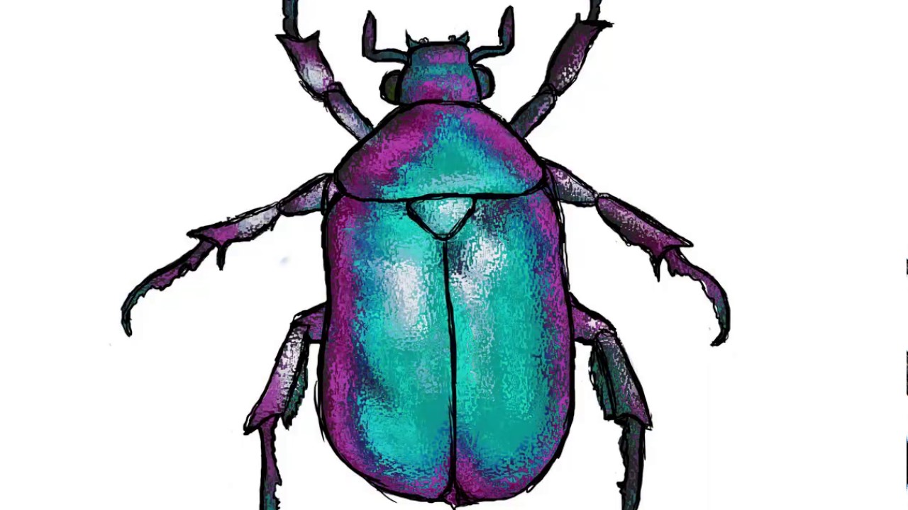 beetle colour test