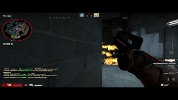 Killed Him With A FLASHBANG !