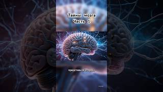 🧠 Часть 1. Мы используем 100% мозга? Твои мысли можно прочитать? #факты#мозг#технологии