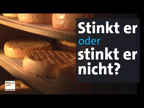 Video: Riecht nach Limburger Käse?