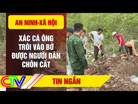 TIN NÓNG: Xác cá ông trôi vào bờ được người dân chôn cất #Shorts