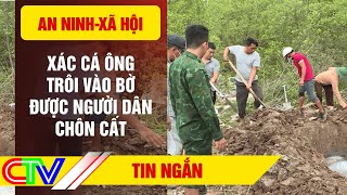 Tin Nóng Xác Cá Ông Trôi Vào Bờ Được Người Dân Chôn Cất 