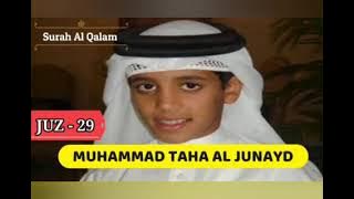 Murotal Juz 29 & 30 - Muhammad Thaha Al Junayd