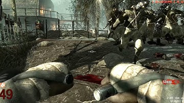 Black Ops 1 zombies Shi no numa swamp roundup 50 run