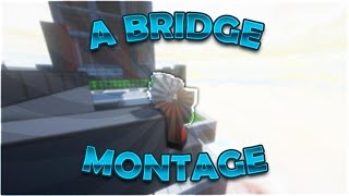 Bridge Montage cuz why not?