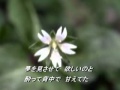 花はこべ 川野夏美 カバー .wmv