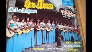Video thumbnail of "Mis ojos me denuncian - Las Flores de la Laguna"