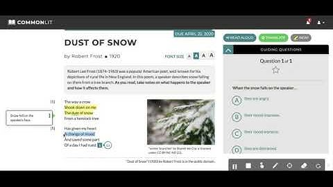 CommonLit Annotations
