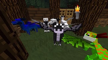 Đảo Rồng SS3 #4 :  Rồng Ngôi Sao Baby - Rồng Tuyết Baby và Rồng Đại Dương Baby