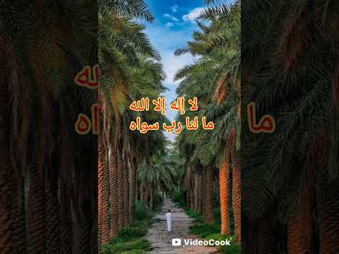 لا اله الا الله ما لنا ربا سواه