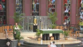 Finding Peace: Uprooting the Idols That Cause Our Restlessness