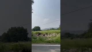 Beautiful Villages Near Denkanikottai hosur villagelifestyle 