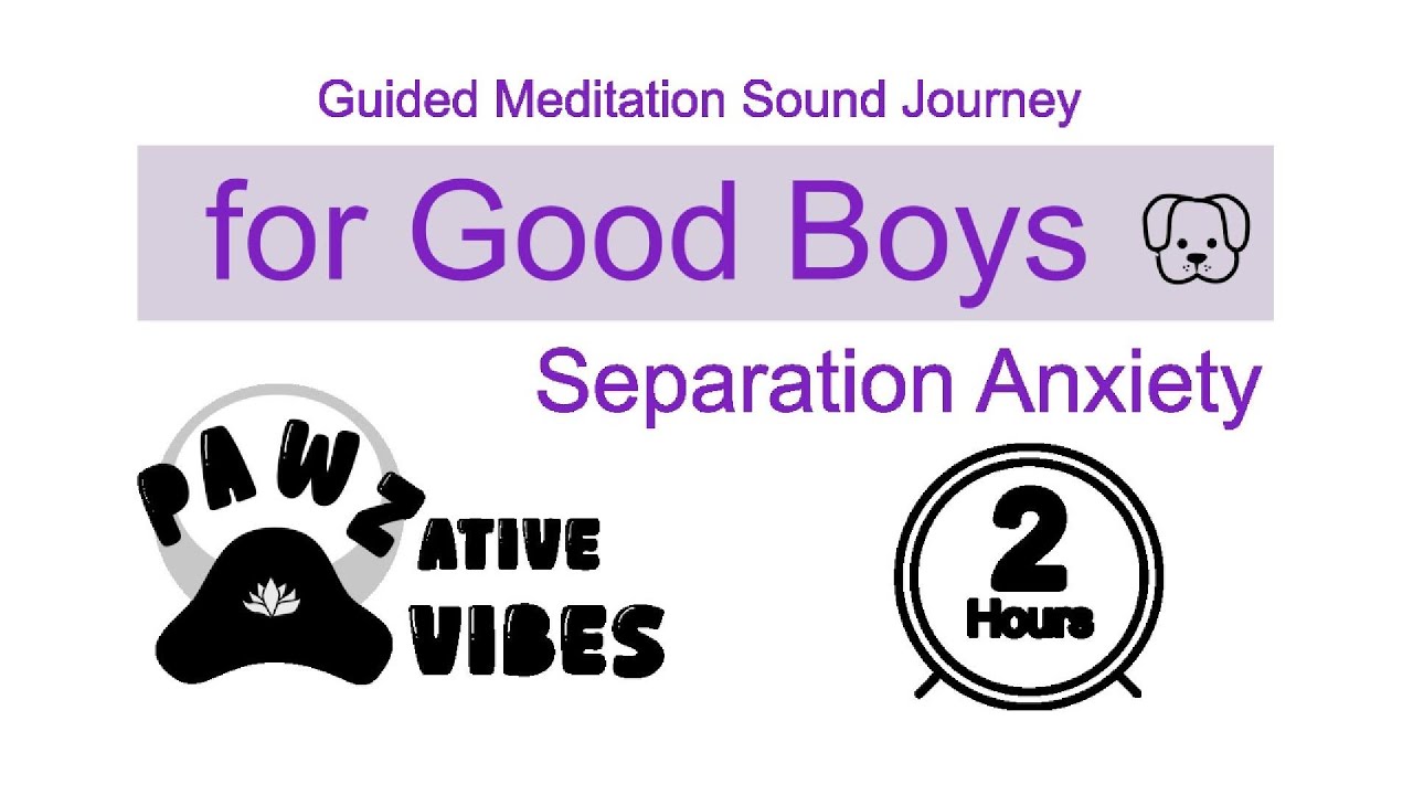 🐾 Guided Sound Journey for Dogs with Separation Anxiety | Calm, Comfort & Safety 🐾