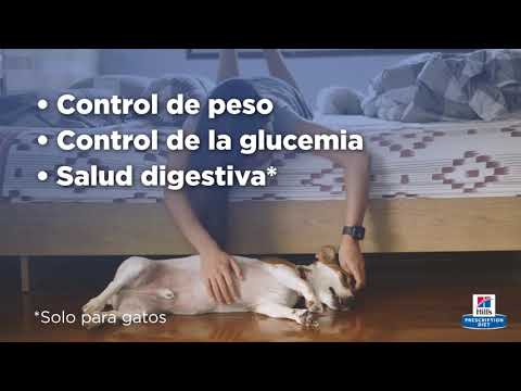 Vista previa del video de Hill's Prescription Diet w/d Multi-Benefit, alimento para gatos, 1,8 kg