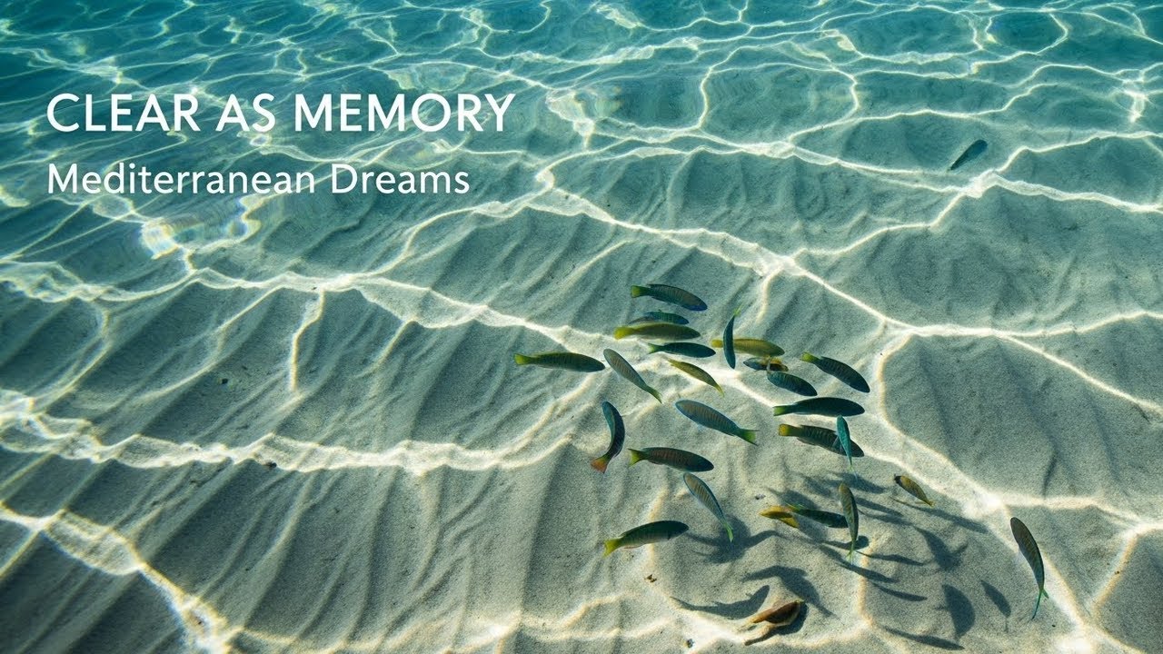 🎶 Rich Italian Heritage 🏛️ Mediterranean Music & Relaxing Golden Views 🏡✨