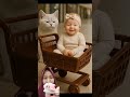 #cat #funny #catlovers #cats