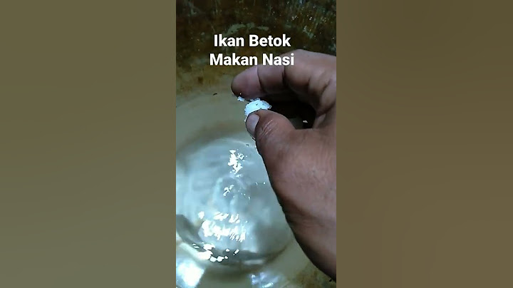 Ikan Betok Makan Nasi