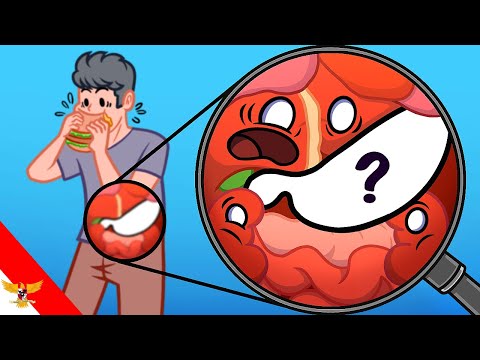 How can someone live without a stomach?