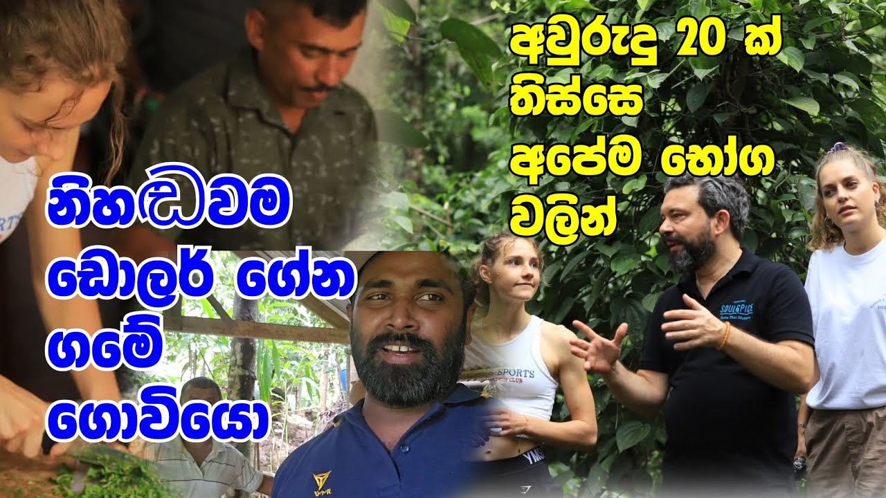 අවුරුදු 20ක් තිස්සෙ අපේම භෝග වලින් නිහඬව ඩෝලර් ගේන ගමේ සුපිරි ගොවියෝ /