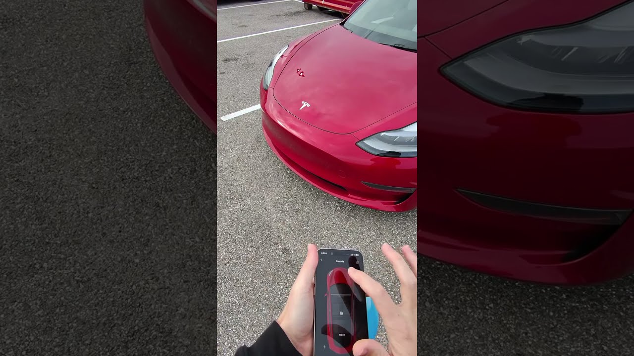 Tesla Owner Is Bankrupt After Doing Maintenance For The First Time