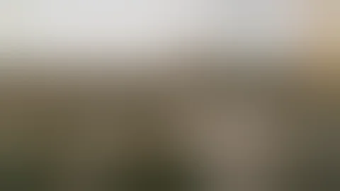 自由花