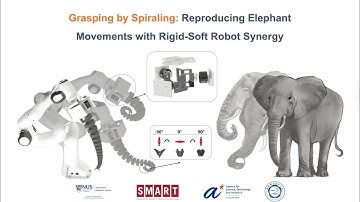 Grasping by Spiraling: Reproducing Elephant Movements with Rigid-Soft Robot Synergy
