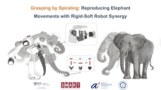 Grasping by Spiraling: Reproducing Elephant Movements with Rigid-Soft Robot Synergy