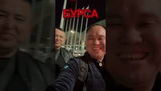 Бурса. Осман #shortsvideo
