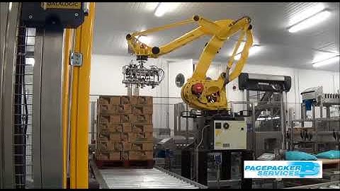 M410iC Case & Bag Palletising Robot