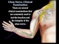 Ulnar Nerve, Clinical Examination - Everything You Need To Know - Dr. Nabil Ebraheim