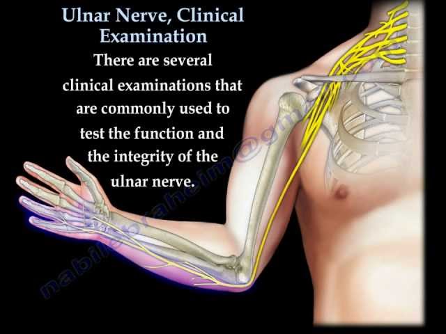 Ulnar Nerve Entrapment - Academy of Clinical Massage