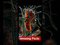 ye Facts Google Bhi Turant Yaad Nahi Dilayega#facts #viral #viralshort #viralvideo #viralvideos