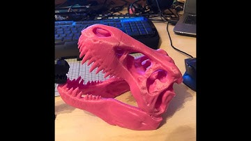 #3Dpriting #TREX #dinosaur cr10 creality Timelapse