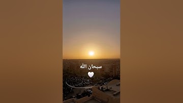 تلاوة خاشعة من الشيخ المعيقلي 🤍 #راحة_نفسية #قران_كريم #اكسبلور #المصحف #trending