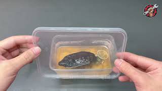 Just put Vaseline into a condom mold for an amazing invention! Half the world doesn't know this! 😱