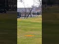 Epic Golf Shot! Did He Make It? ⛳️🏆 #shorts