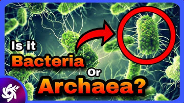 Bacteria vs Archaea Explained | Key Differences & Extremophiles