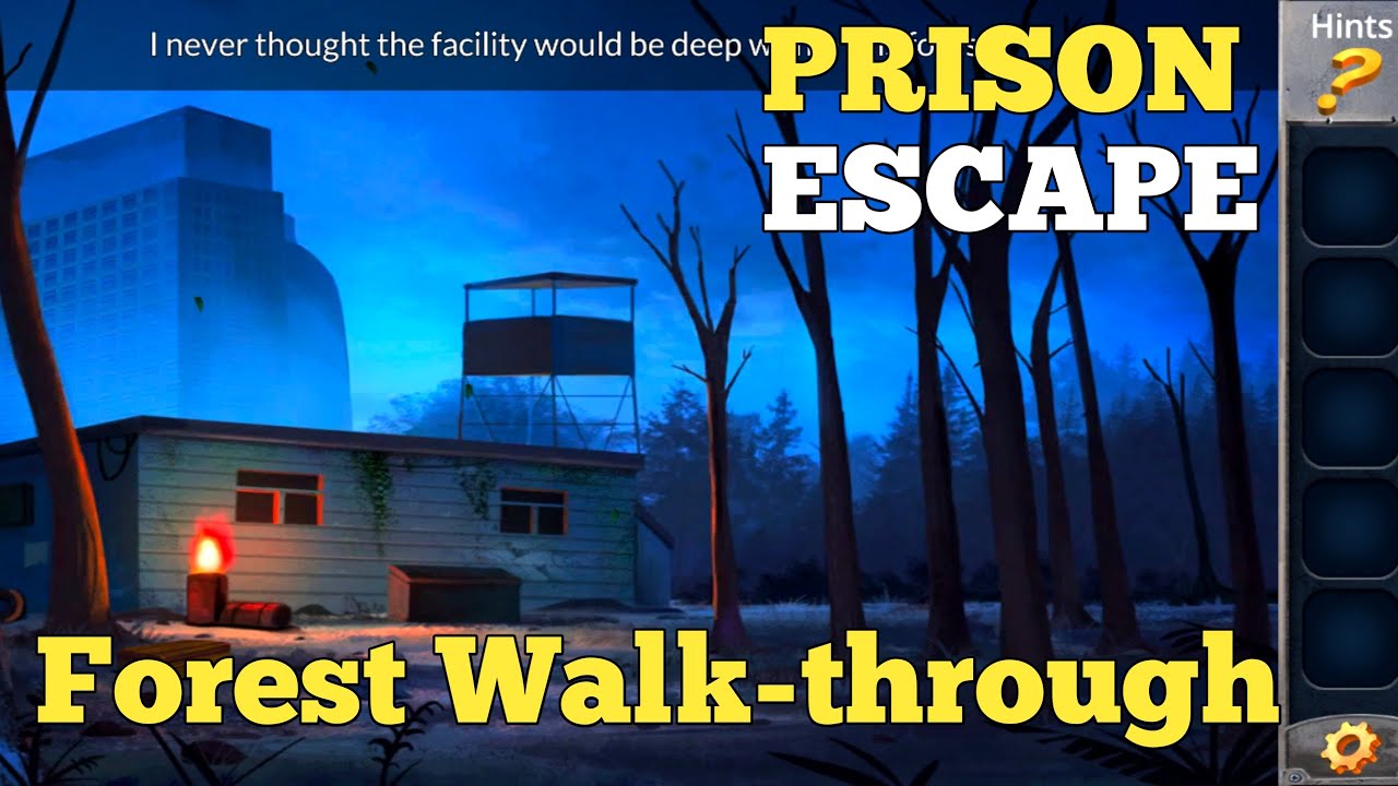 Prison Escape Puzzle Chapter 4 Into The Forest Walkthrough (Big Giant  Games) 