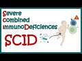 SCID (Severe combined immunodeficiency) || symptoms and immunology || Immunodeficiency
