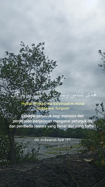 QS. Al-Baqarah : 185 #viral #murrotalmerdu #murrotalquran #storywa #trending #qori #tilawah #ramadan