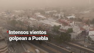 Intensos vientos golpearon a Puebla y Tlaxcala; hay árboles derribados y dos personas sin vida