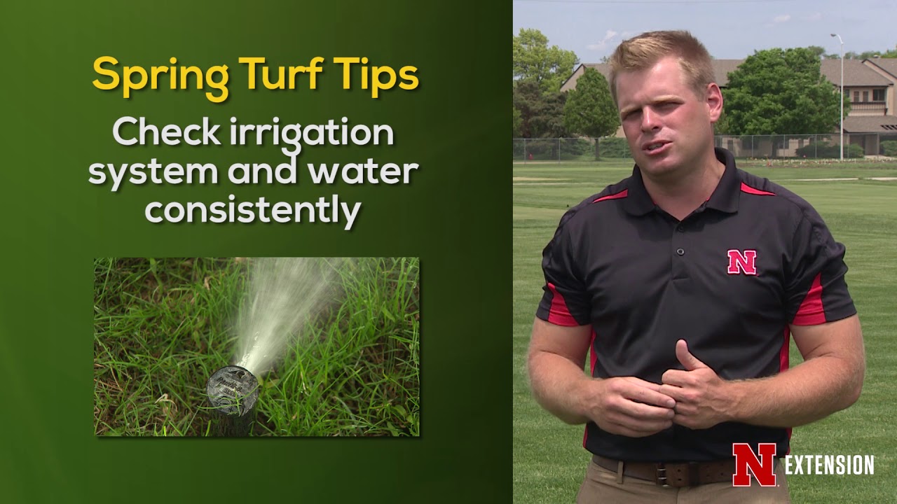 Spring Green Tips - YouTube