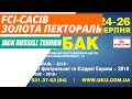 Выставка собак FCI-CACIB «Золота пектораль - 2018», Киев. Джек Рассел Терьер