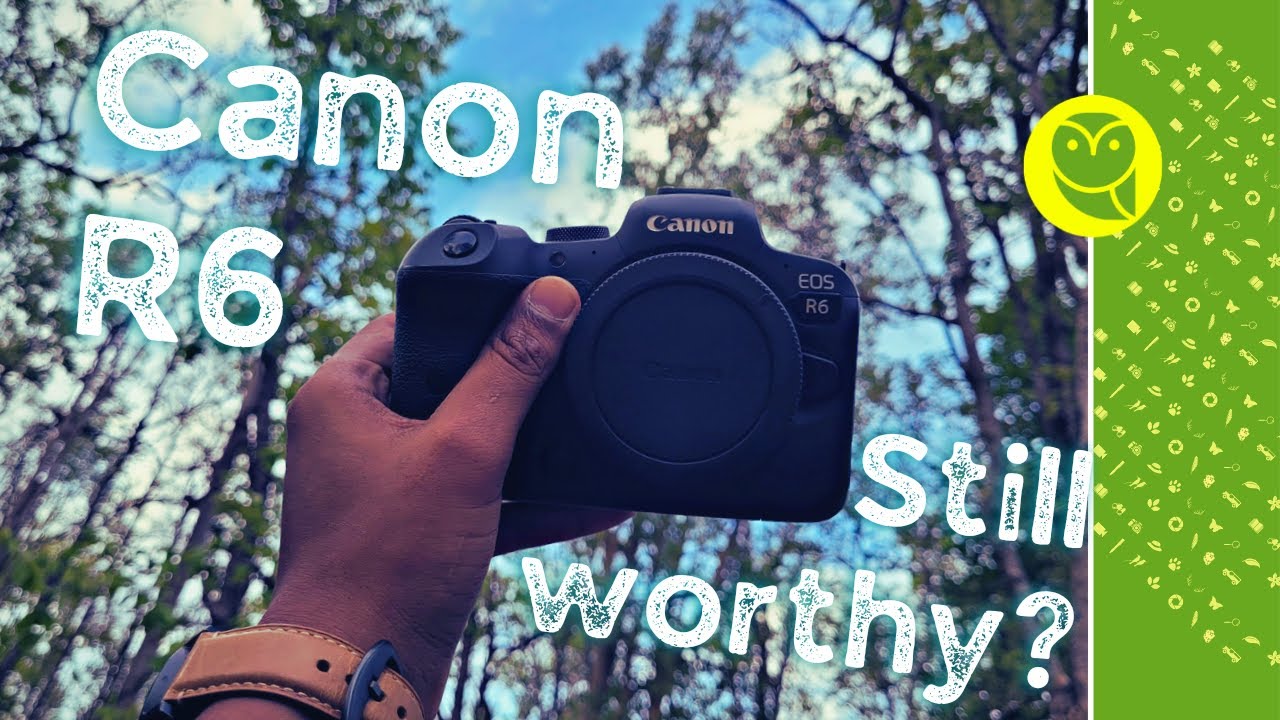 Canon R6 still worth buying in 2022? Wildlife photographer's long term
