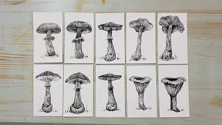 How to draw mushrooms-quickie sketch on scrap paper