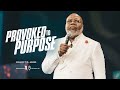 Provoked To Purpose - Bishop T.D. Jakes