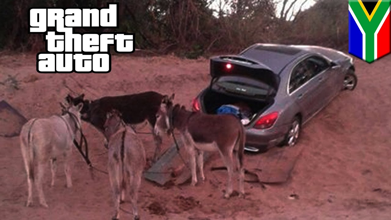 GTA fails Donkeys caught smuggling stolen car at South AfricaZimbabwe