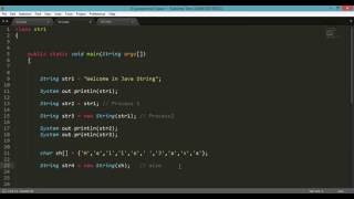 String Class : Java Programs